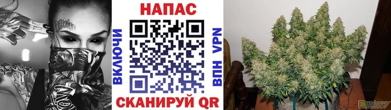 Где купить наркотики Старая Купавна Кокаин  Галлюциногенные грибы  Мефедрон  А ПВП  Гашиш  Бошки Шишки 