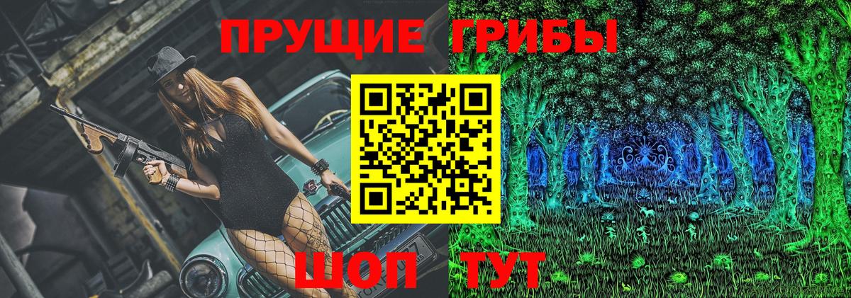 Старая Купавна  хочу наркоту  Псилоцибиновые грибы Magic Shrooms  Вход с VPN  Псилоцибиновые грибы GOLDEN TEACHER 