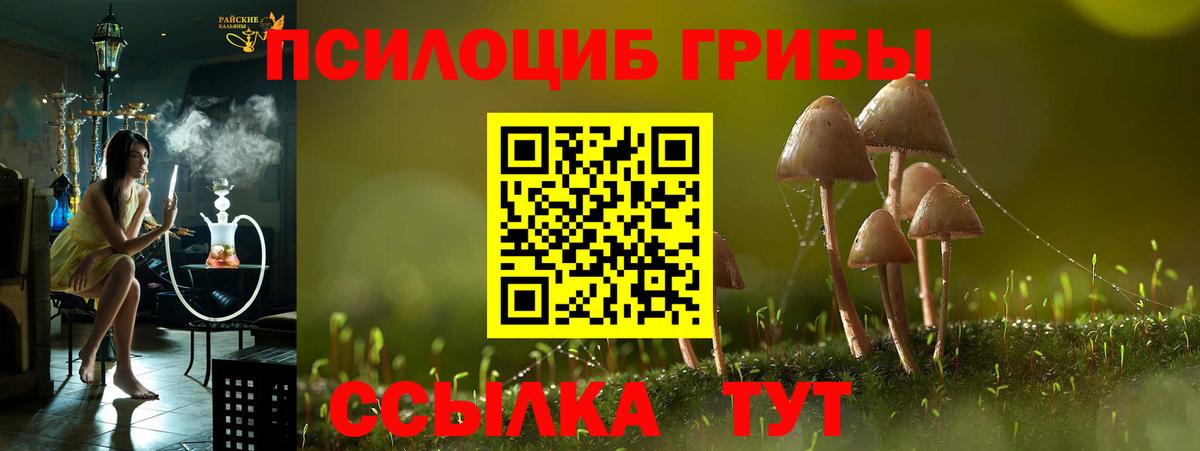 Псилоцибиновые грибы прущие грибы  Старая Купавна  Галлюциногенные грибы Cubensis 