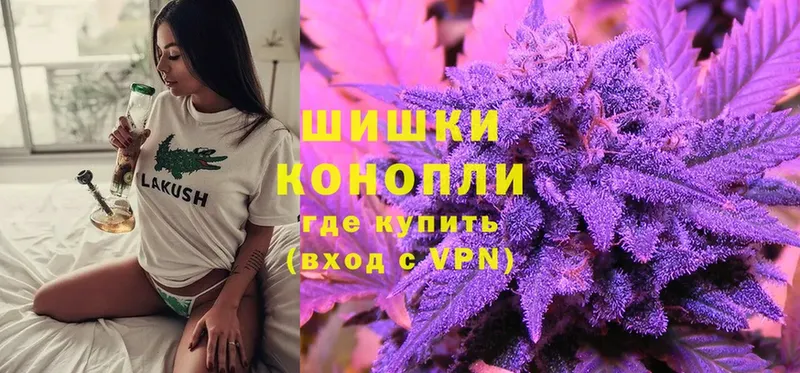 Шишки марихуана OG Kush  Старая Купавна 